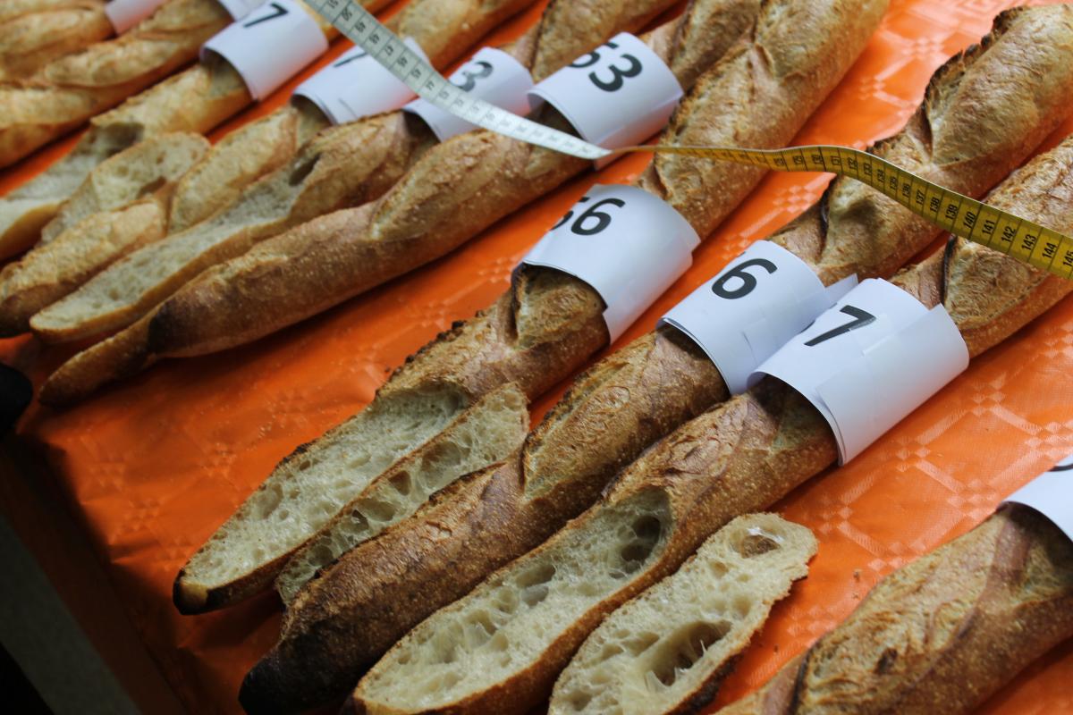 baguette concours